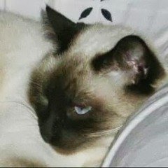 League of Legends Instrumental