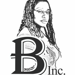 breezeinc