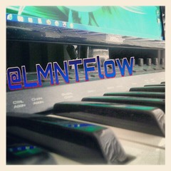 LMnT Flow