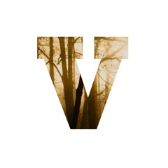 The Sound Of Soundness