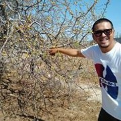 emmanuel martinez flores