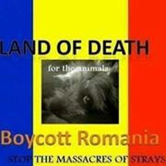 Kamal Wesselink-van Genne