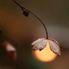 김종국