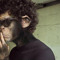 I AM APE