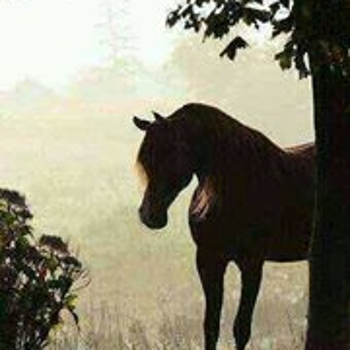 دعاء بندر بليلة ليلة 27/1429