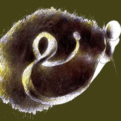 scutopus