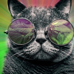 Philip Mroczek Jakobsen