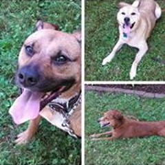 Jillian Peace Reidenbach