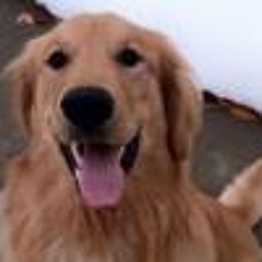 Esteban Gonzalez Munoz