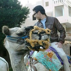 Hussein Elramly