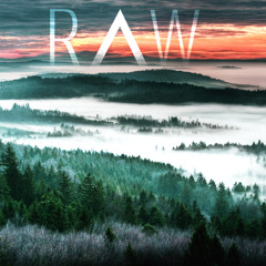 R  A  W    S O U N D