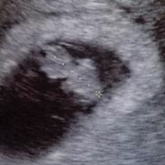 Ricardo Martinez Ocasio