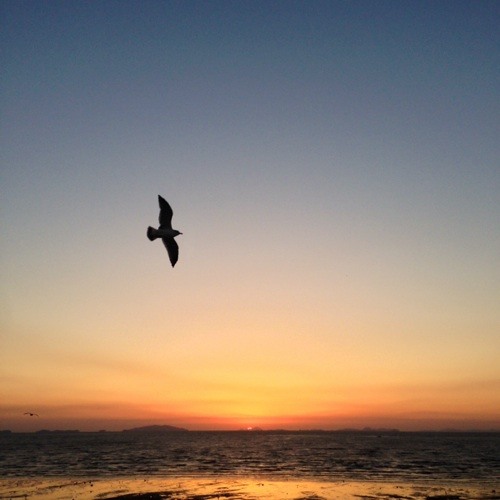 papik -  summer in rio