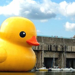 bubberducky