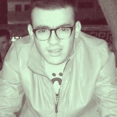Mohamed RaGab Fekry