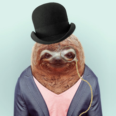 Sir Namakemono