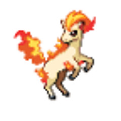 Ponyta Ponyboy