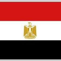 Hisham El-Arnaouty