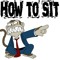 How To Sit