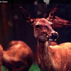 CobyDriskoll Project