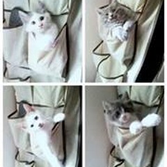 Atikah Syakirah Ab Rahim