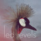 Led Levels