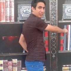خطه العباس‎7 (12)‎الشاعر ايهاب المالكيghassanasi