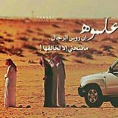 user485204274
