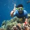 Satrio Wicaksono Budianto