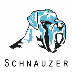 Schnauzer