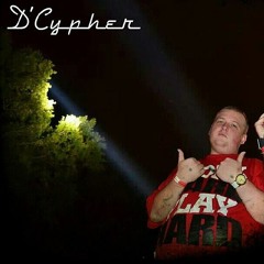 Mr. Fly Linez