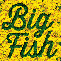 Big Fish The Musical