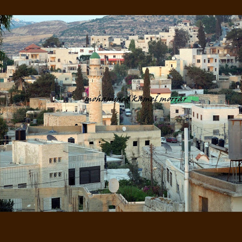 اغاني فلسطينيه