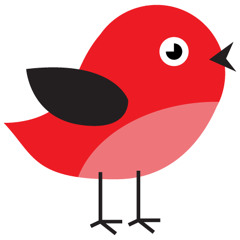 Little Bird Promotions