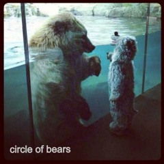 circle of bears