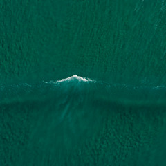 Jørgen Janshaug Dahlen