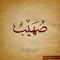 The_EMIN3M_fan