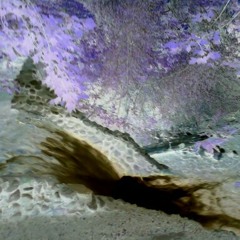 Ammon Fackrell guitar