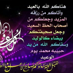 user81880802
