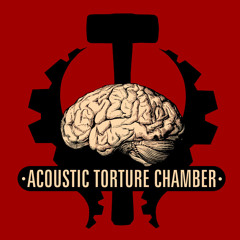 Acoustic Torture Chamber