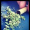 largooo