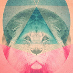 Lion Bevernage