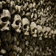 Ambient Online osd 28