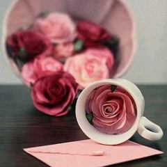 Rasha Khaled 2