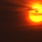 BlackSunset