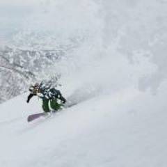 Tomomi Chibico Inoue