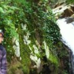 Anis Bwz