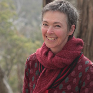 Jane Thompson - Lights On The Bridge