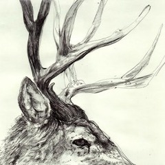 Solotundra