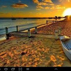 محمد الموجي